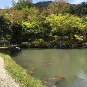 Meet your Posher, Karina